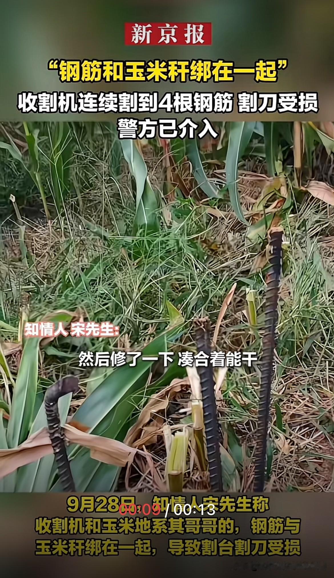 人怎么能这么坏？男子家里有一台价值百万的收割机，家里面还有一片玉米地，就当他开着