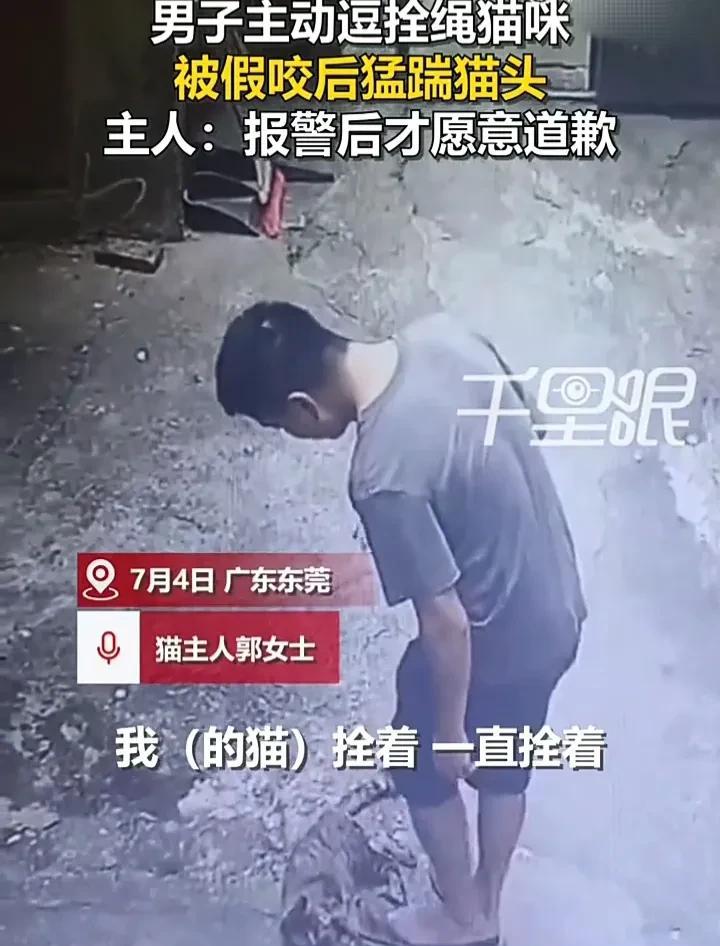 都来看看这个丢脸的男人！7月4日，广东东莞一名女子发视频称，自己养的小猫在店铺门