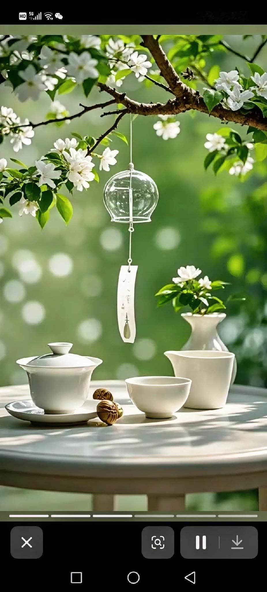 一定要舍得吃的10种食物1.豆浆：自己磨最好，不加糖。植物蛋白养人，尤其适