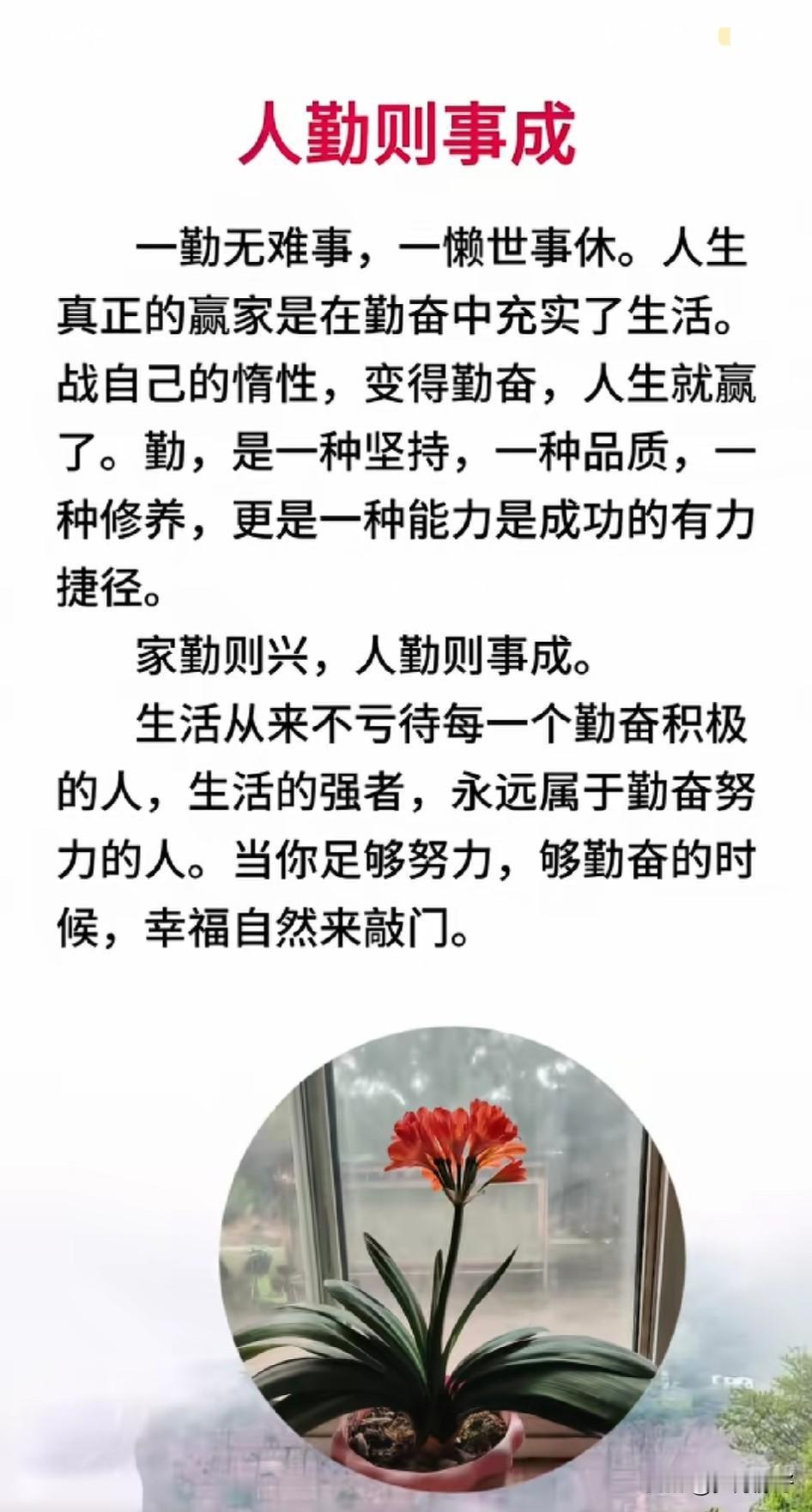 人勤则事成，一勤无难事，一懒世事休。人生真正的赢家，是在勤奋中充实了生活。战胜自