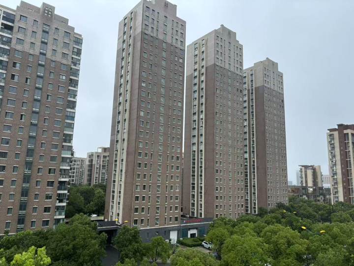 “竹节草”登陆朱家尖, 在普陀山拐来拐去!