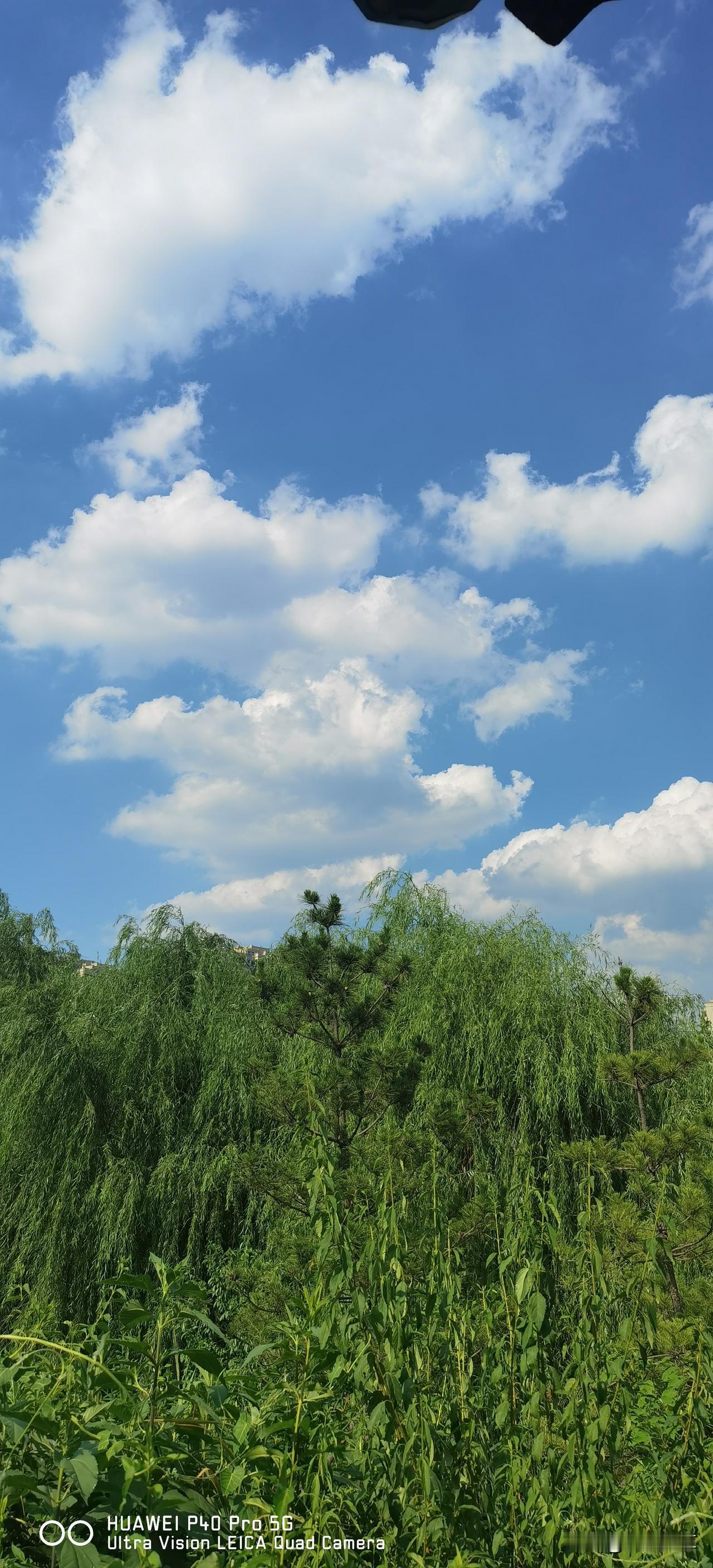 唐山工业职业技术大学面向社会公开选聘事业编工作人员21名！选聘对象为硕士研究