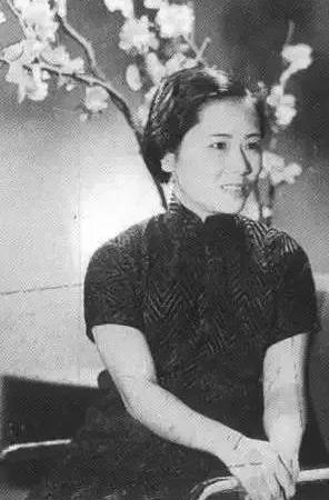 1973年，“东方居里夫人”吴健雄回国，见到周总理后：我有句话不知道该不该说，周