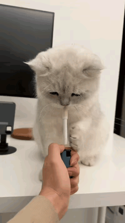 这只猫咪成精了，不仅跟主人学会了抽烟，给它点烟的时候，还知道伸爪挡一下。既挡风，