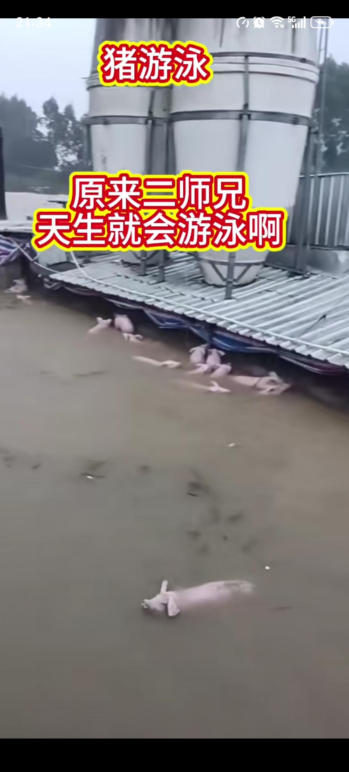 广西南宁连日暴雨，多座水库出现漫顶、坝体缺口，汹涌洪水倾泻而下，下游多处养殖场被