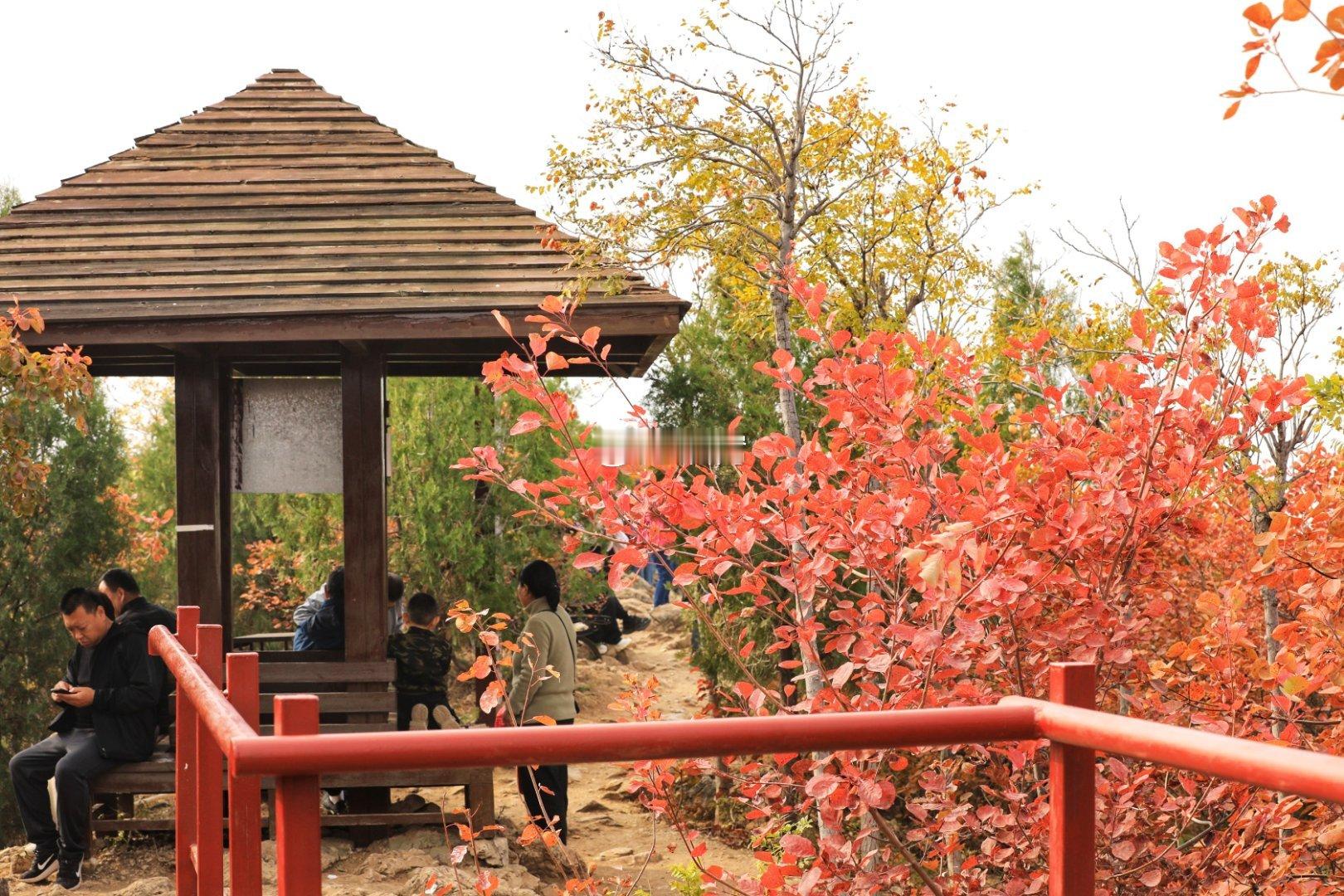 顺义舞彩浅山红叶北京你好摄影​​​