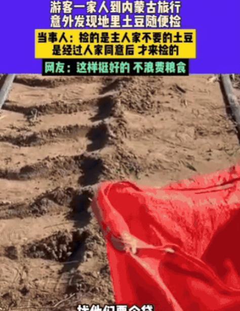 男子一家三口去内蒙古旅行，意外发现路边地里有很多土豆，竟然跑到地里捡土豆，主人家