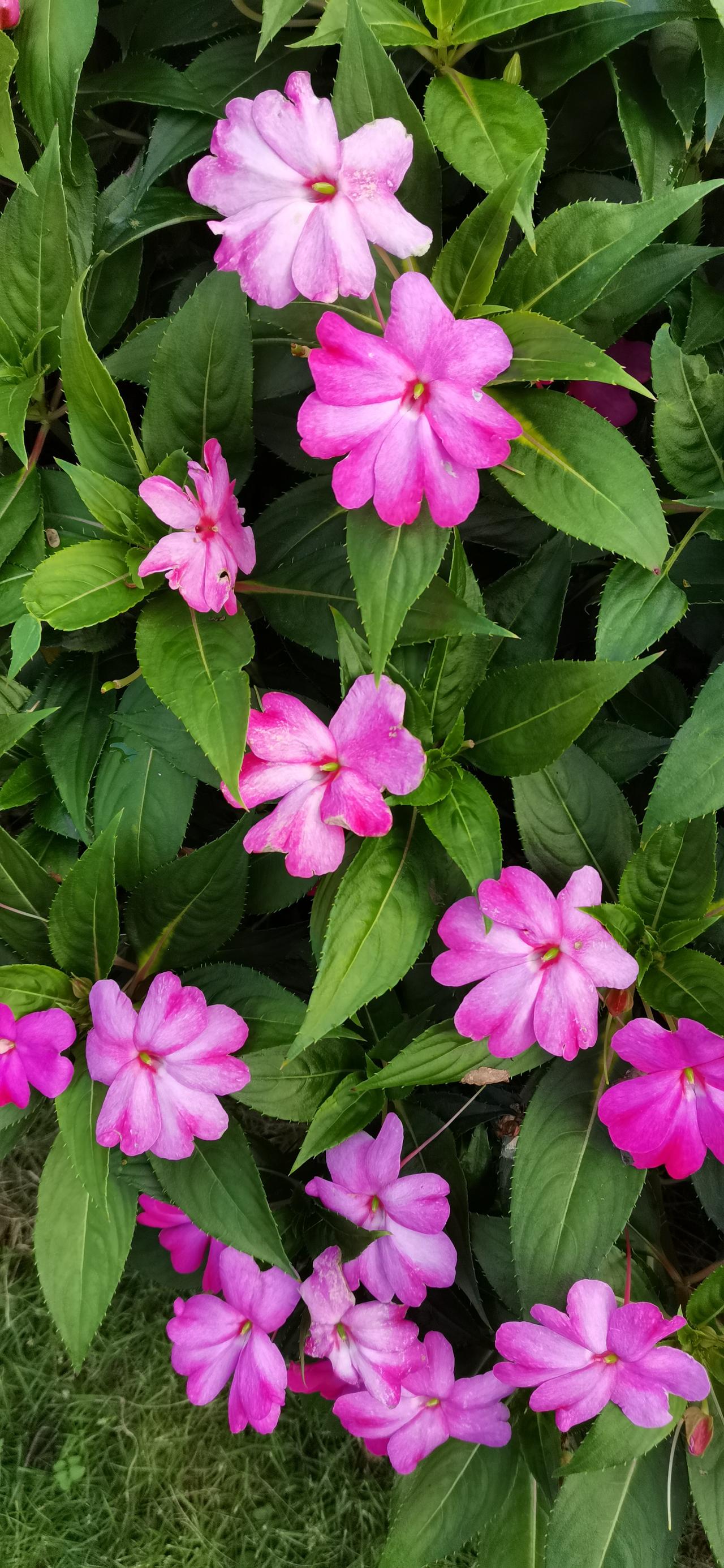 见利就撤，这才是炒股赚钱的秘诀！那些所谓的炒股技术、炒股方法，在股市里其实毫无