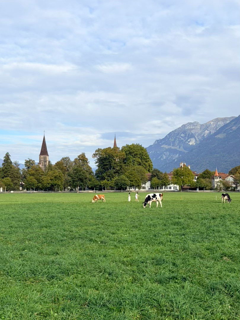 好山好水好瑞士🇨🇭风景是真的无敌​