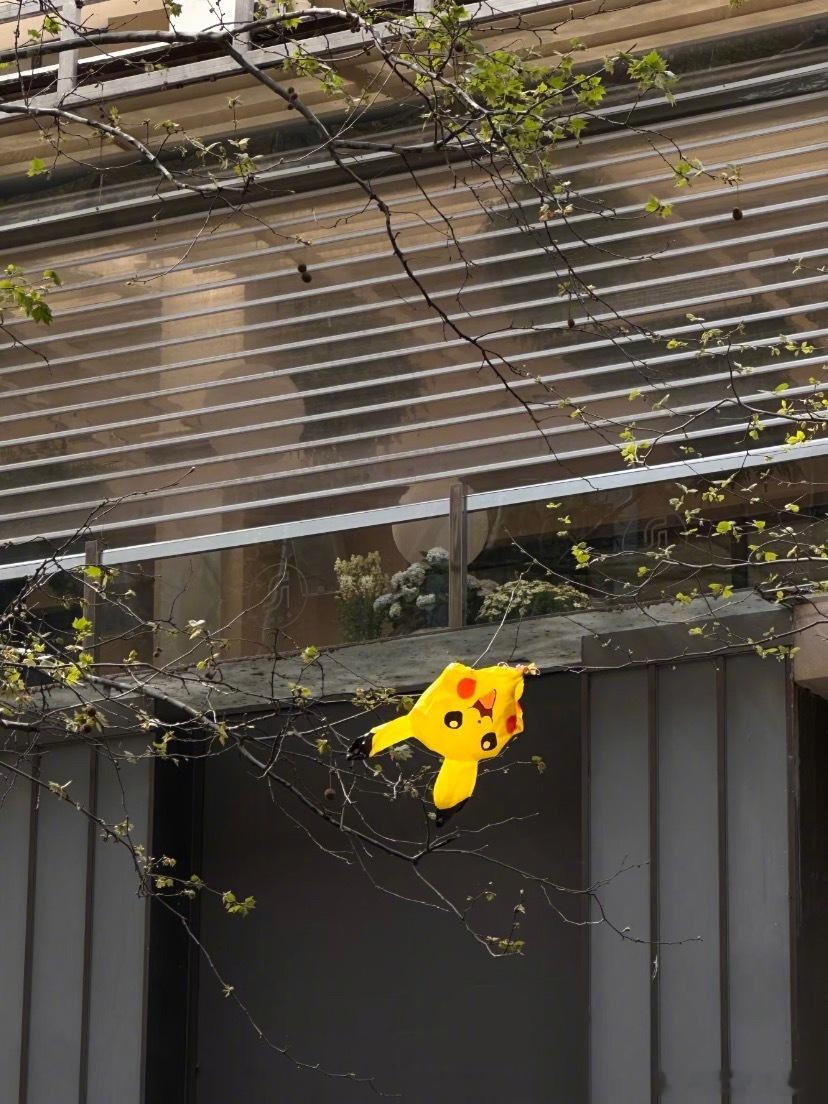 ：生活是好好吃很多顿饭很爱吃饭也喜欢春天大当家来了