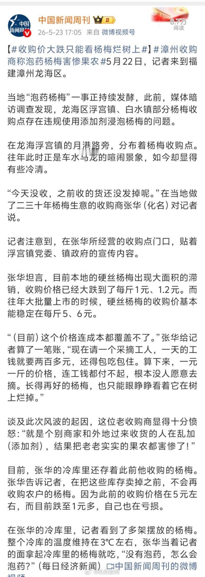 收购价大跌只能看杨梅烂树上本身杨梅就是不耐放，不容易保存的，遇到天气热，容易有蚊