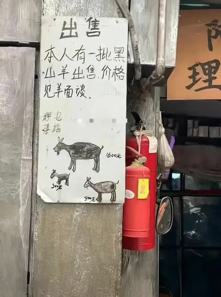 松弛感十足的一场交易。