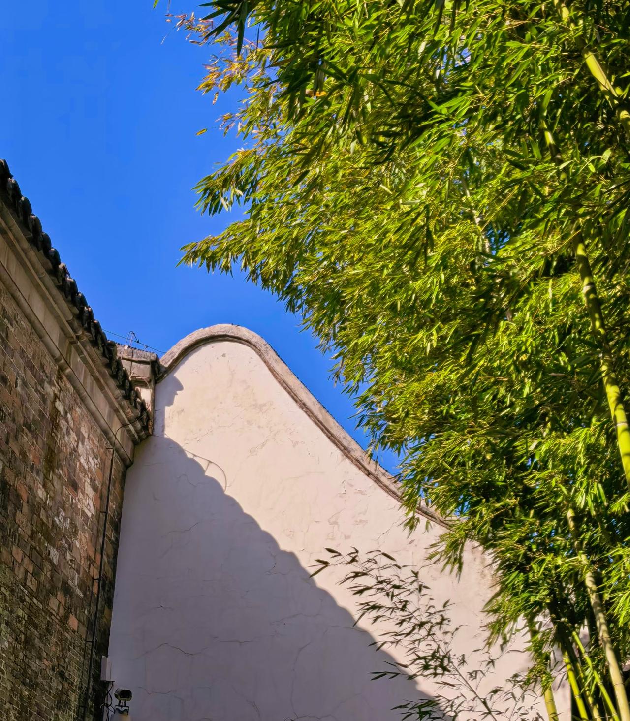 人到中年才懂：沉默是金，话多、错多、是非多。闭嘴的鱼，最不容易被鱼钩钩住。人