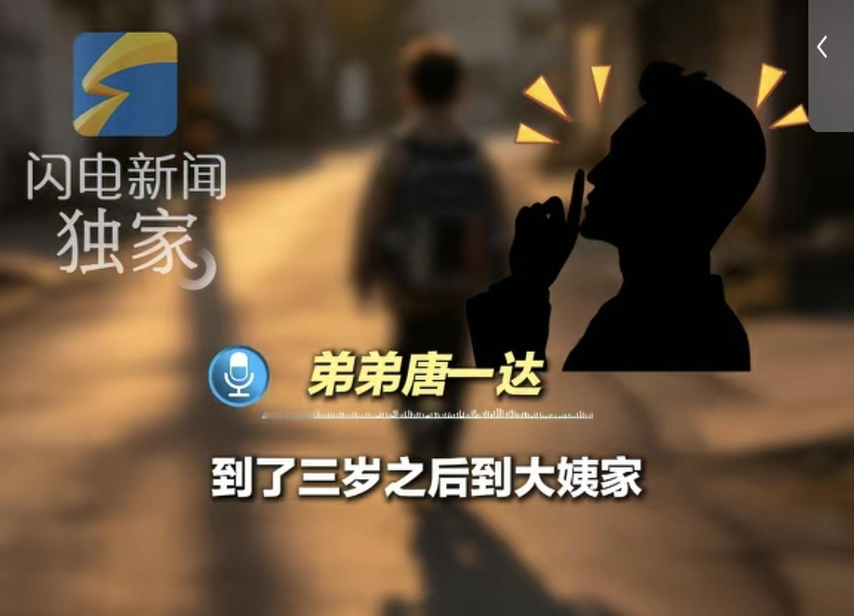 突然开始同情哥哥了，他也挺可怜的。一直以为弟弟被送养了，哥哥跟着亲生母亲，所以