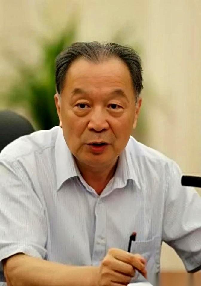 从2001年到2021年，全国乡村小学的数量直接从40多万所被砍到了8万多所。
