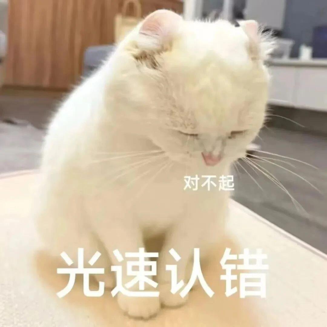小猫咪表情包