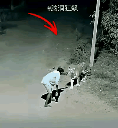 真有趣国外一个男子，喝醉了酒，夜深了还在路上转。虽然醉了，的酒瓶还拿在手上。这时