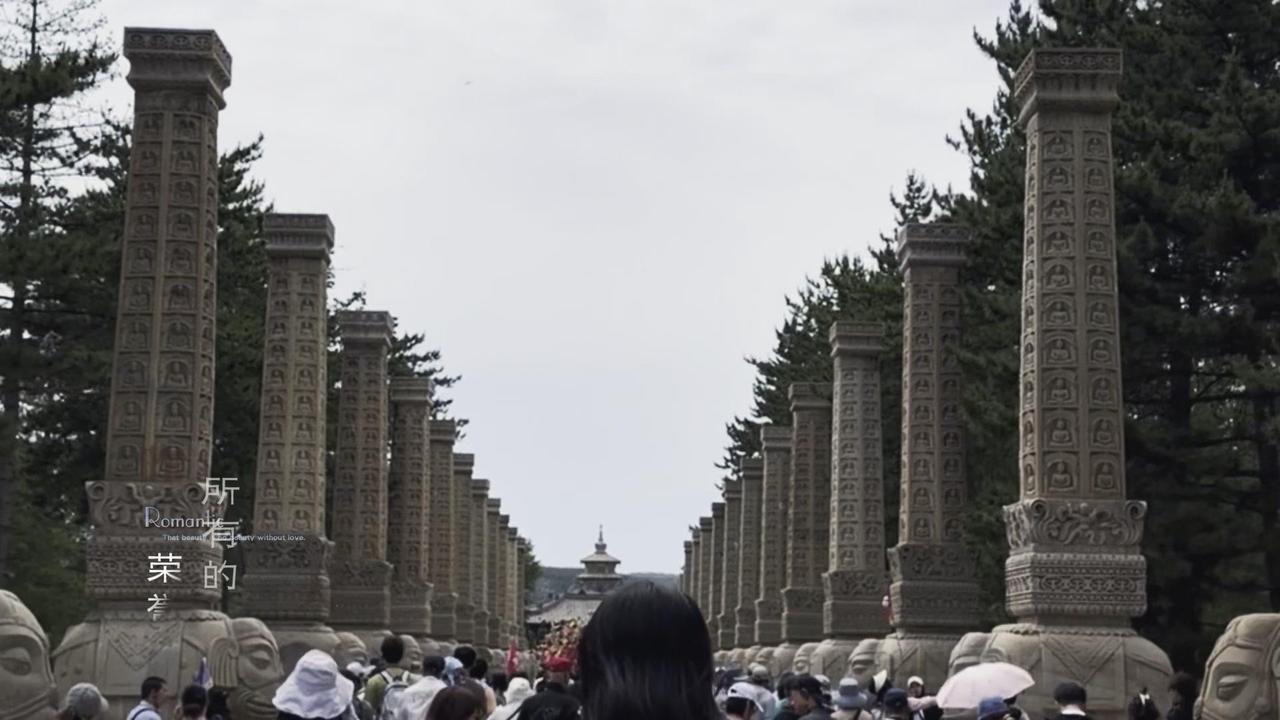🌿从枣阳到大同，山水相隔的距离，终于在这一刻有了答案。车过雁门关，隧道穿越仿佛