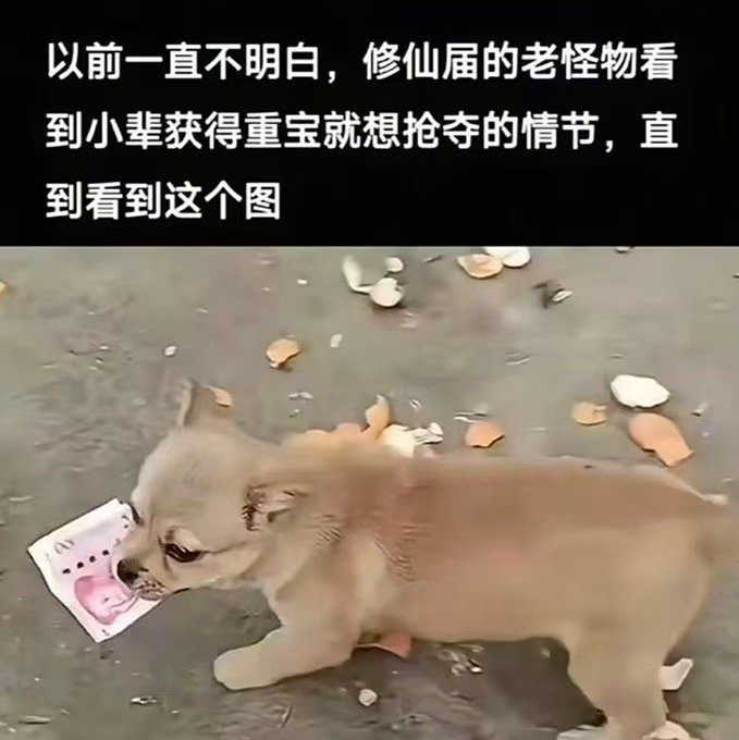 给我吧你拿着真没用​​​