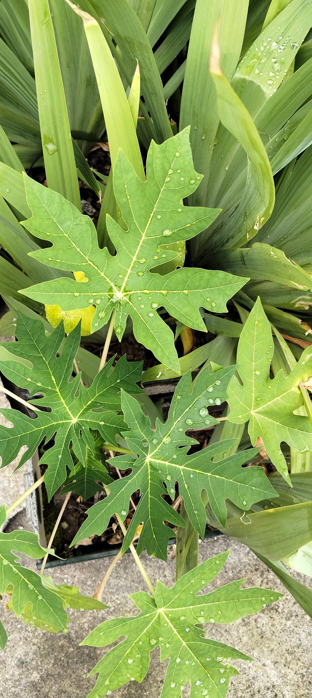我一个女性朋友经济条件好，只有一个女儿，考上了事业单位编制。她给女儿全款买了套大