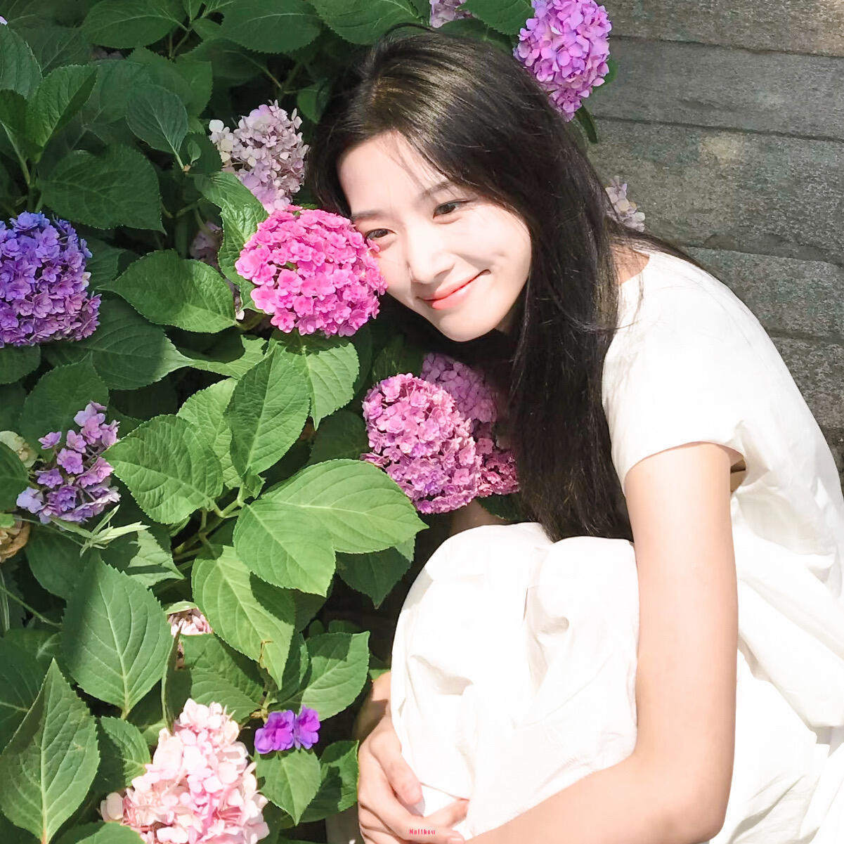-𝐒𝐇𝐀𝐑𝐄｜卢昱晓头像背景图搭配⸝⸝💐꙳🎨◟🍀。