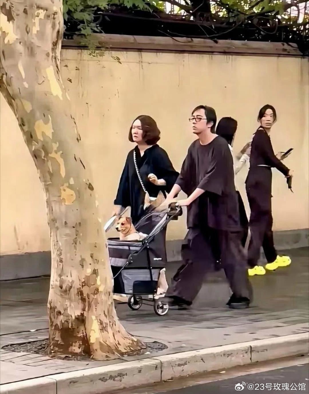 忍不住地回头，太不可思议了