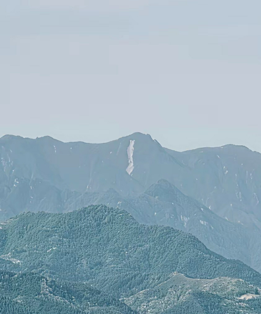困扰已久，秦岭这道白的到底是什么