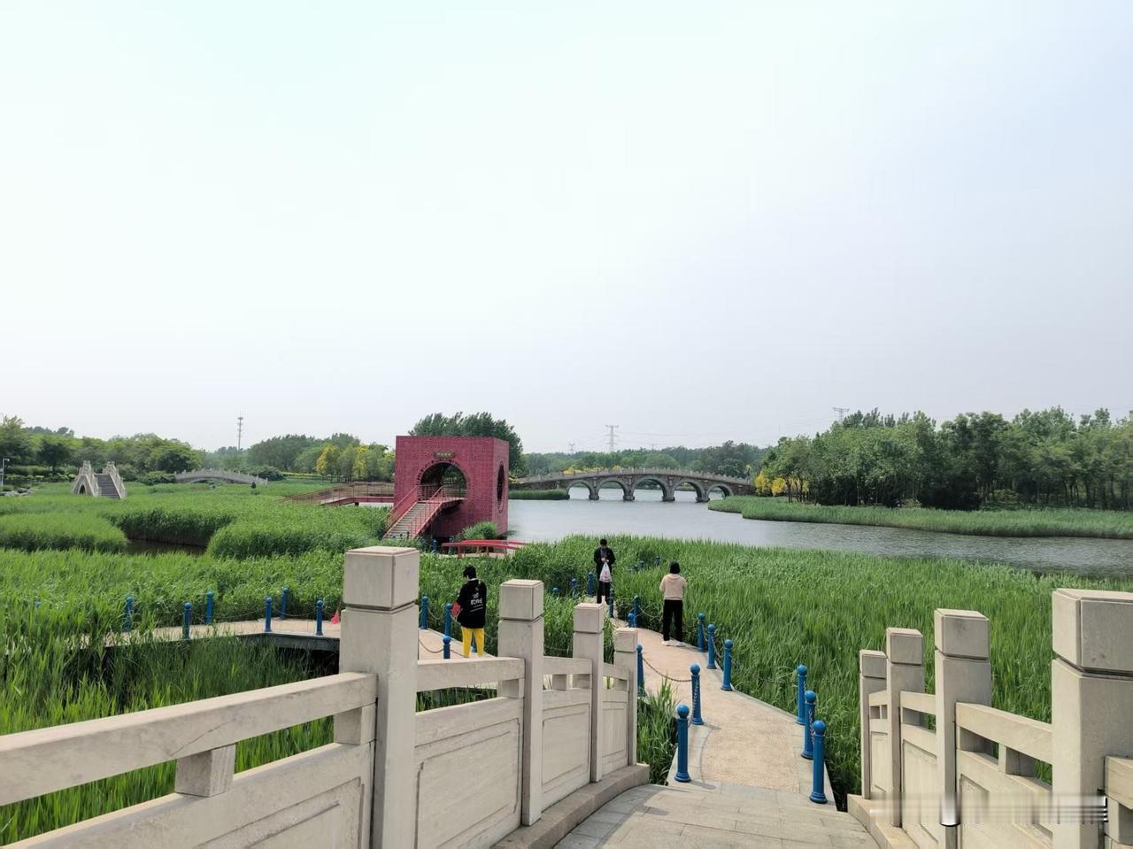 天津临港生态湿地公园，是我国大型工业区内为数不多的湿地公园。园内面积大，绿植茂盛