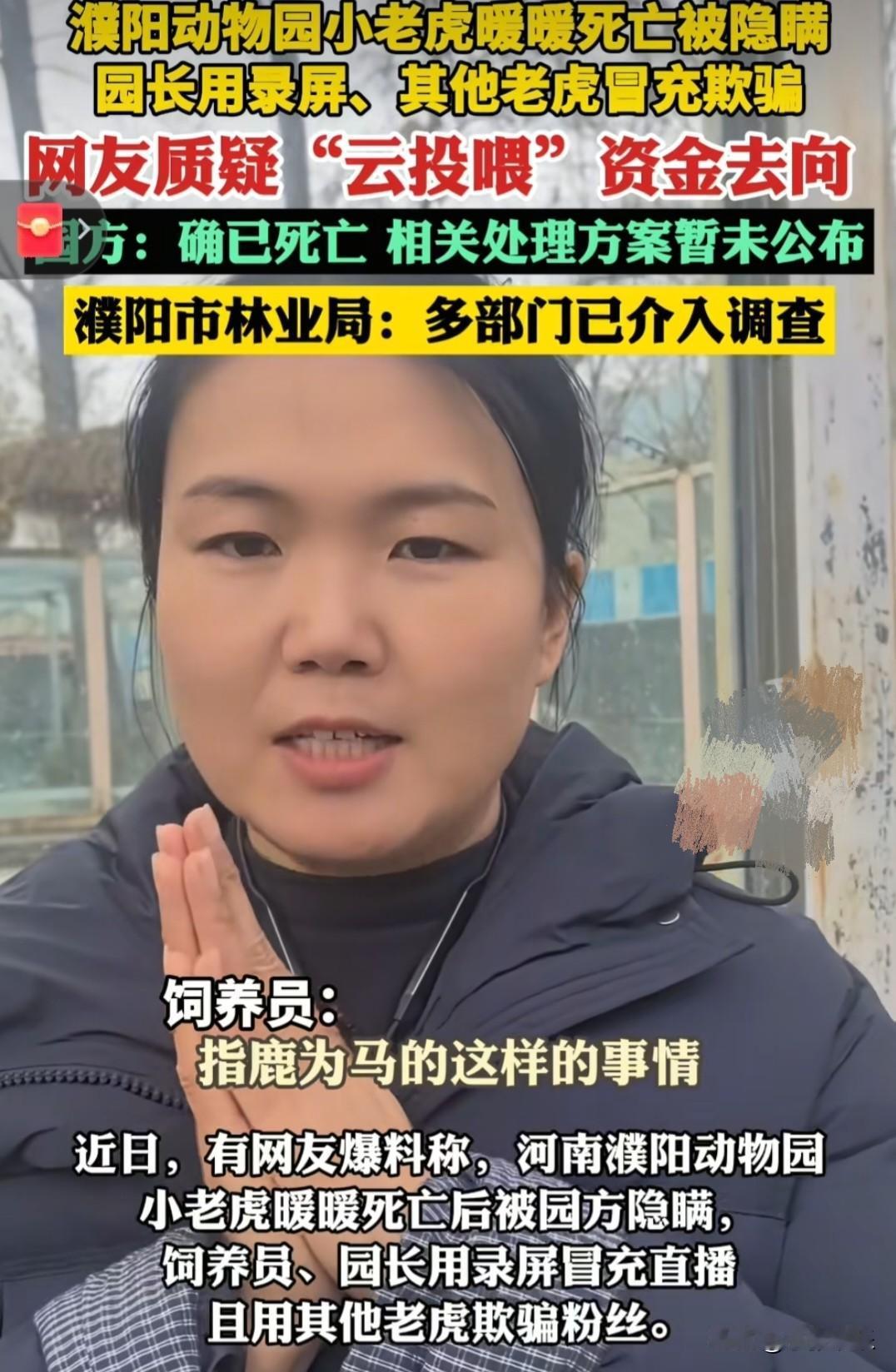 “我的善良不是生意”河南濮阳一动物园。养了只小老虎很可爱，名字叫暖暖，因他样子乖