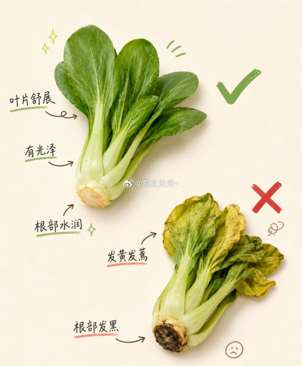 买菜不会看新鲜程度，一直是我的大困难，尤其是肉的部位怎么分，今天看了这几个图总算