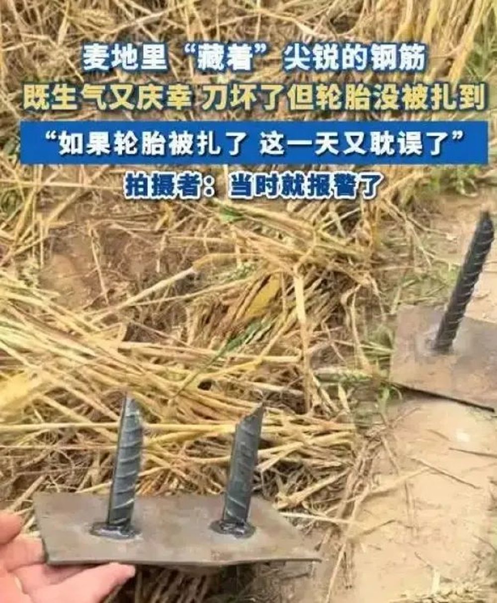 麦田里投放“暗器”? 干扰夏收必须严惩