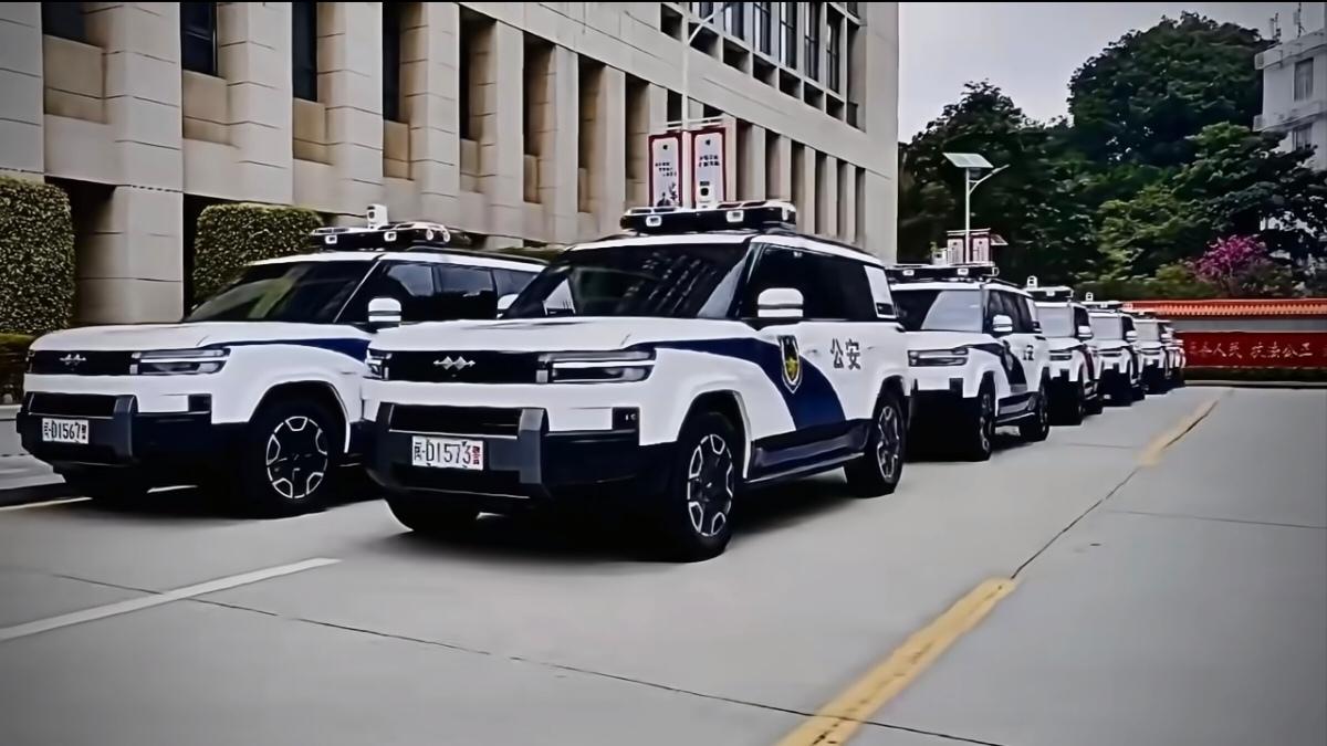 方程豹卖给了警察，这事儿有意思了。我发现一个挺显眼的变化，就是路上巡逻的绿牌