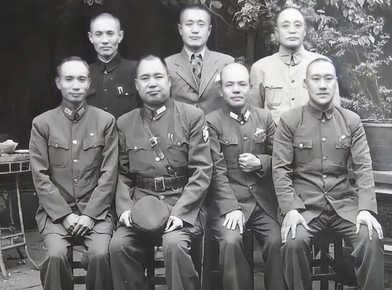 国军兵团之全名单以及结局注：兵团存在大量番号重复重建，同一个数字前后是完全
