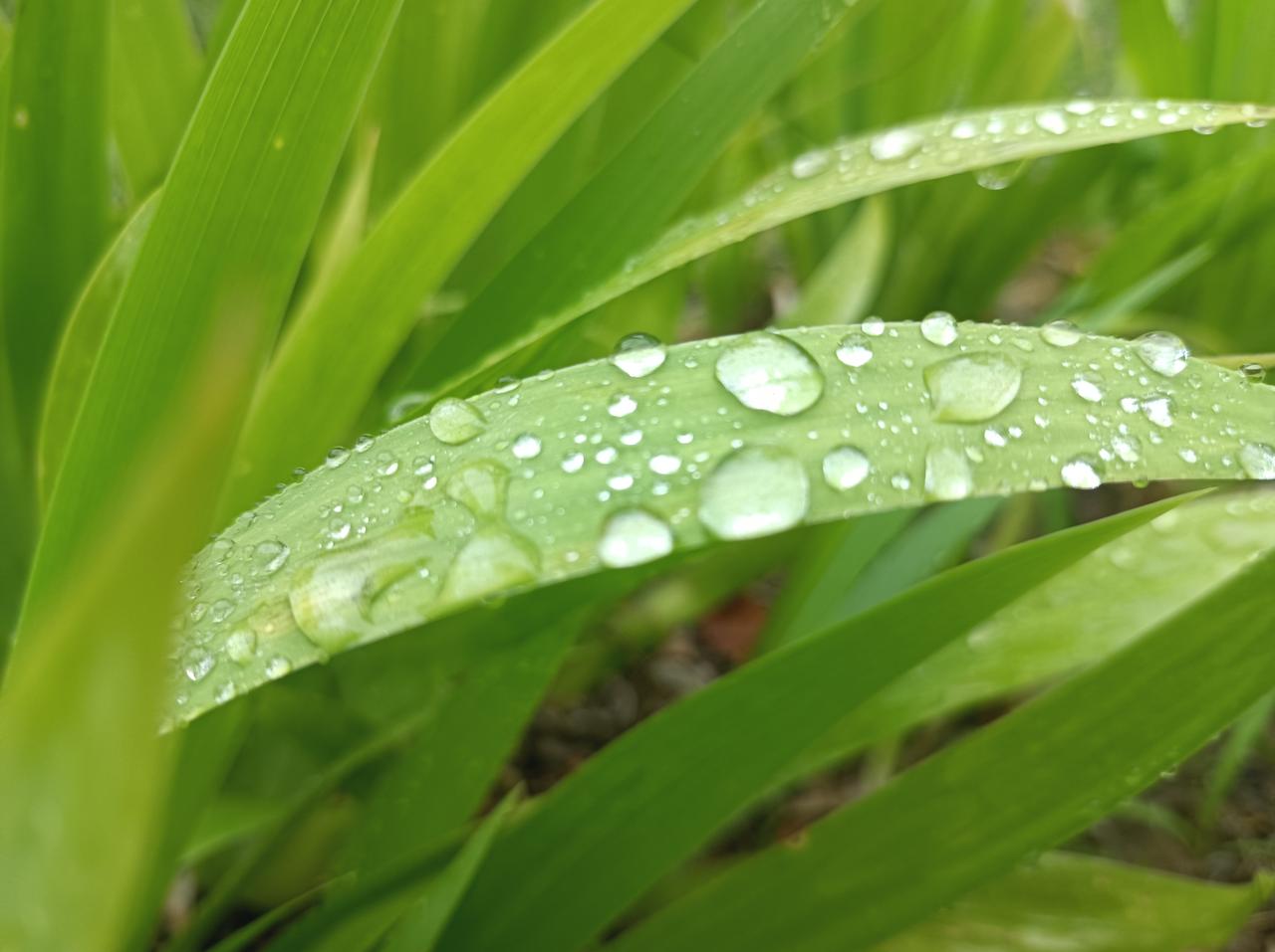 扩军后的世界杯含金量是升了还是降了？先说结论：整体含金量“降中有升”——小组赛明