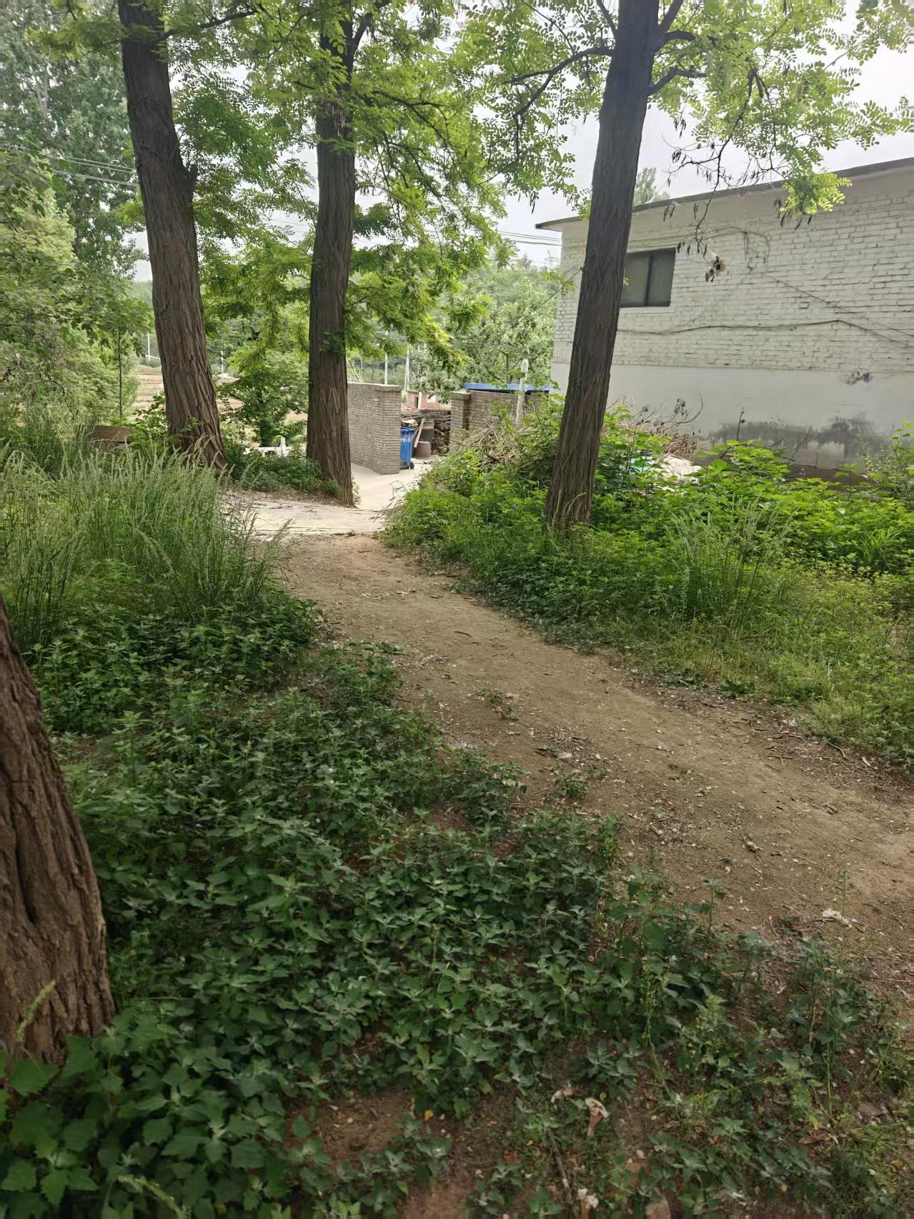 平山县乡村道路统一硬化存遗留问题村民家门口低洼积水危及房屋无人监管