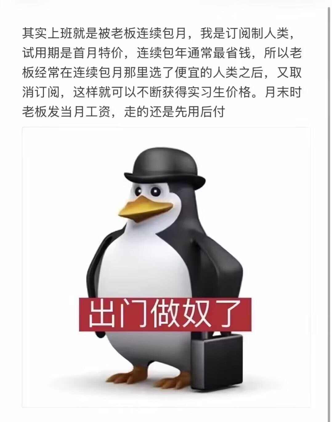 原来我也是商品😭