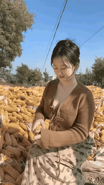你见过农村妇女这样穿戴扒苞米的吗？😡