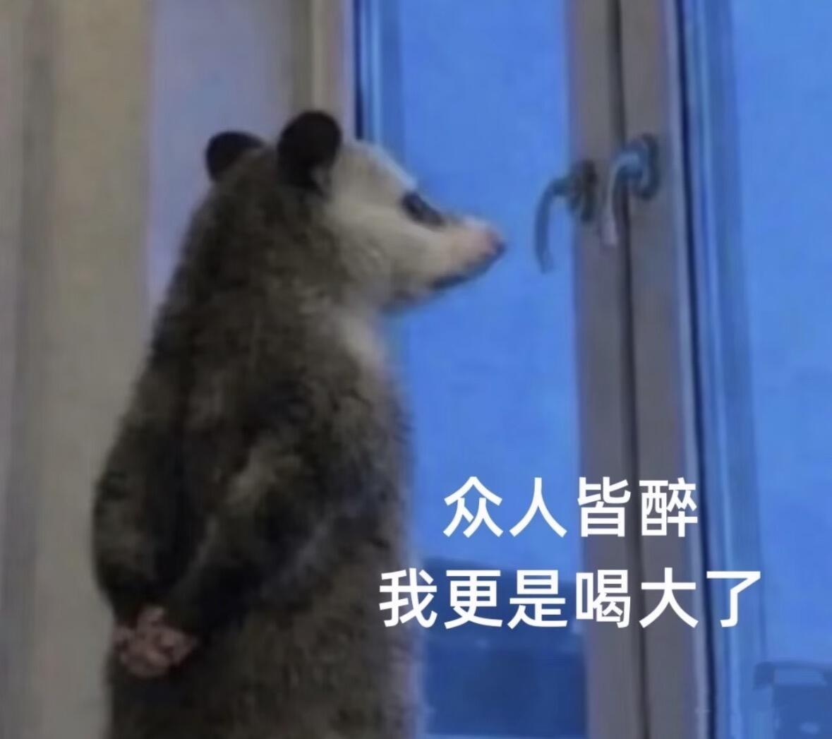 到处偷负鼠表情包然后嘎嘎大笑