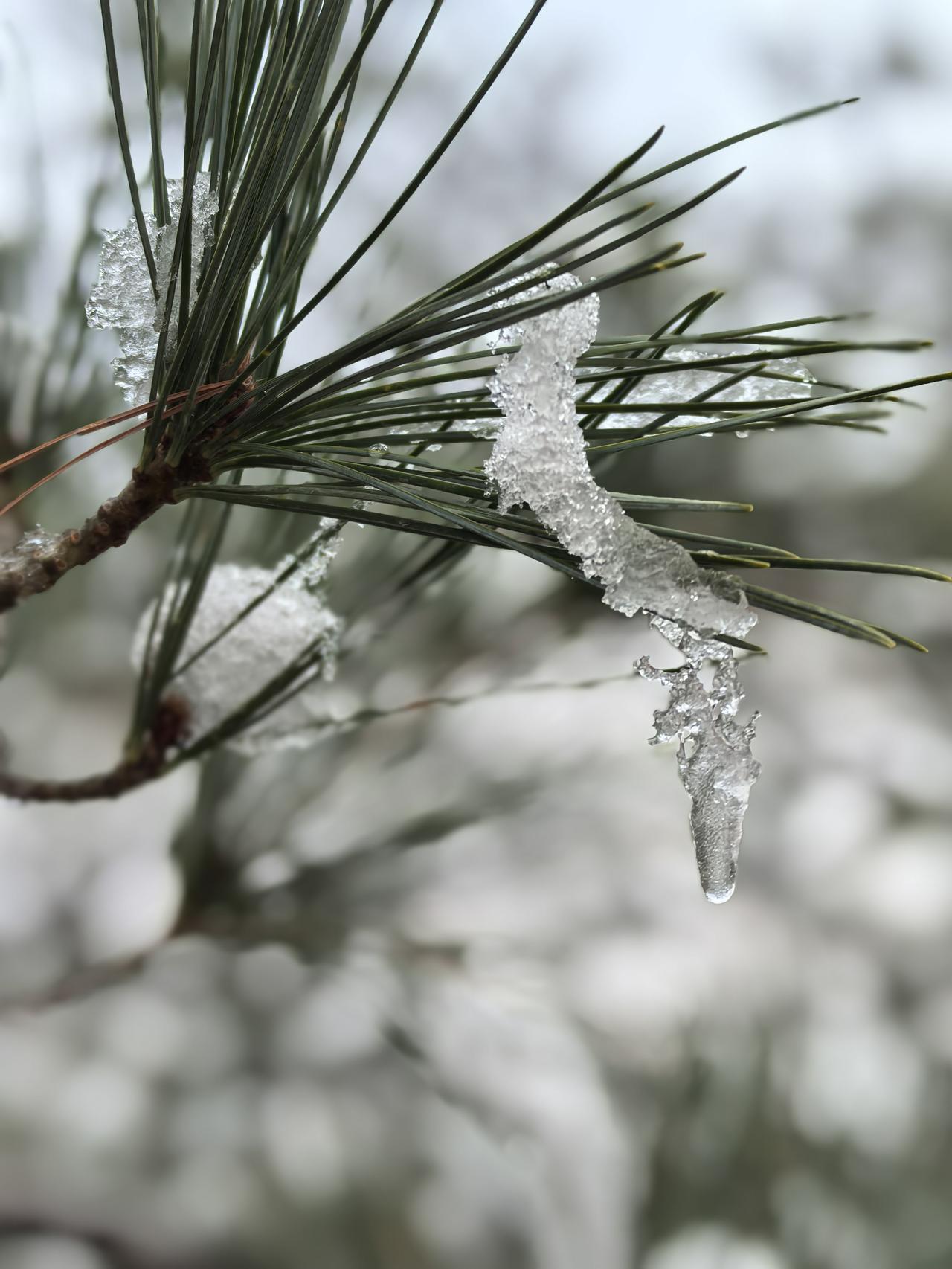 高考英语降分、学制缩至10年：教育改革要算“平衡账”全国政协委员的两项教育
