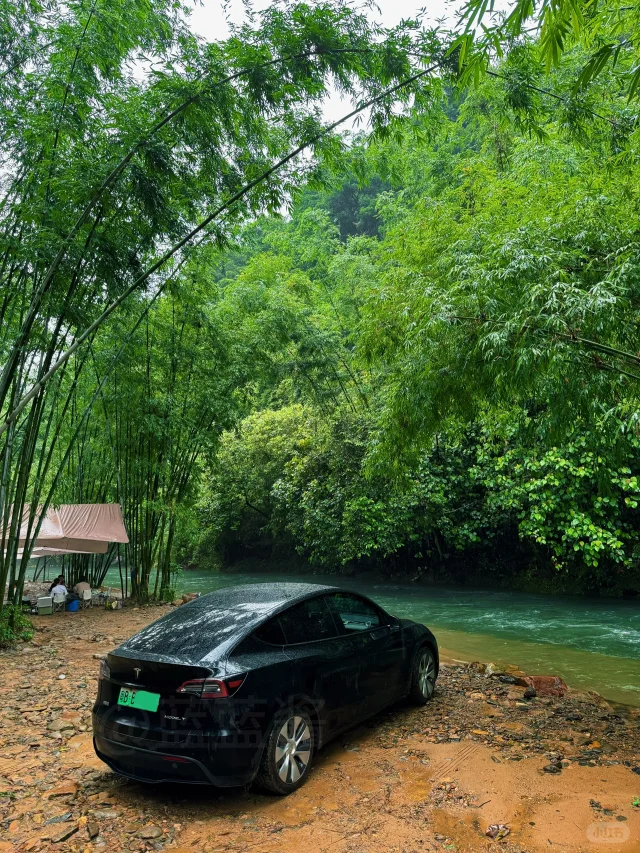 开车直达‼广深周边深山竹林小溪💦鱼爆多‼️