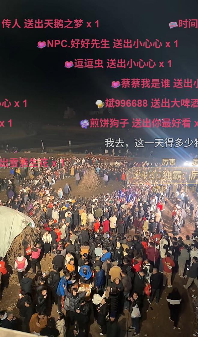 呆呆家现在还是这么多人，大家都好闲啊，不用上班吗？呆呆这一波操作，感觉比得上