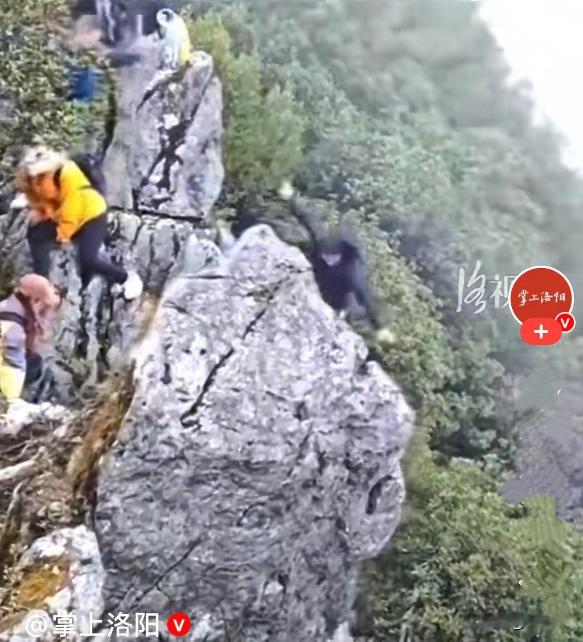 近日，一男子登山，站在悬崖上低头看手机，那个手机给看不可吗？胆可真大，站悬崖上还