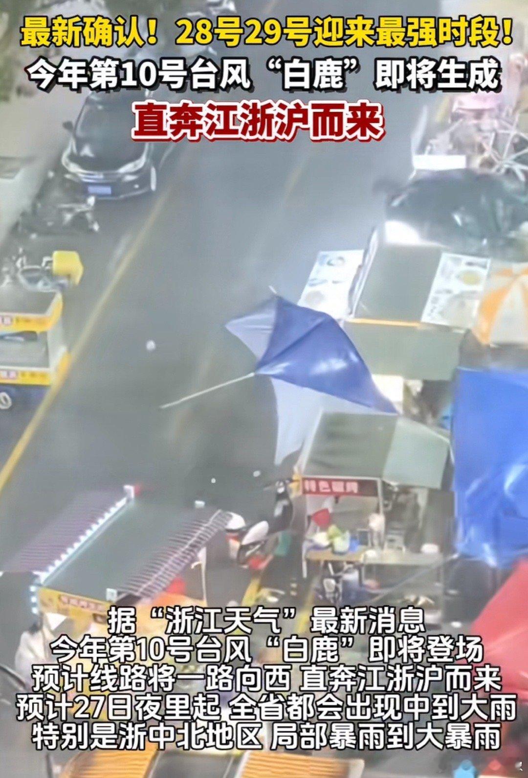 白鹿要来浙江了😳​​​