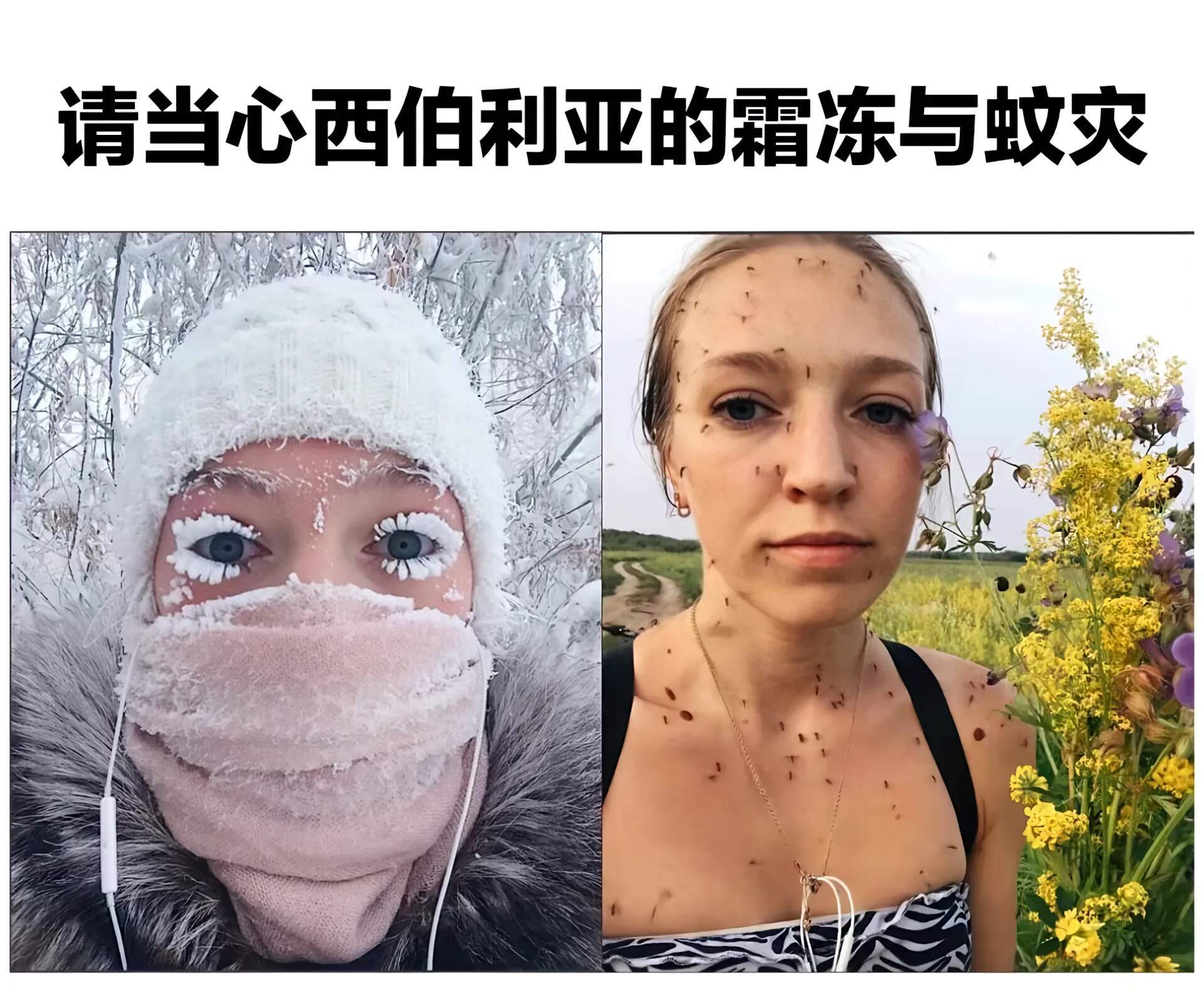 网友投稿图片选集