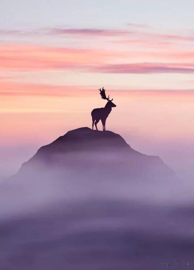 吃完年夜饭百无聊奈，又开始上线搞钱了过节过年很负债人没关系虽然勤劳不