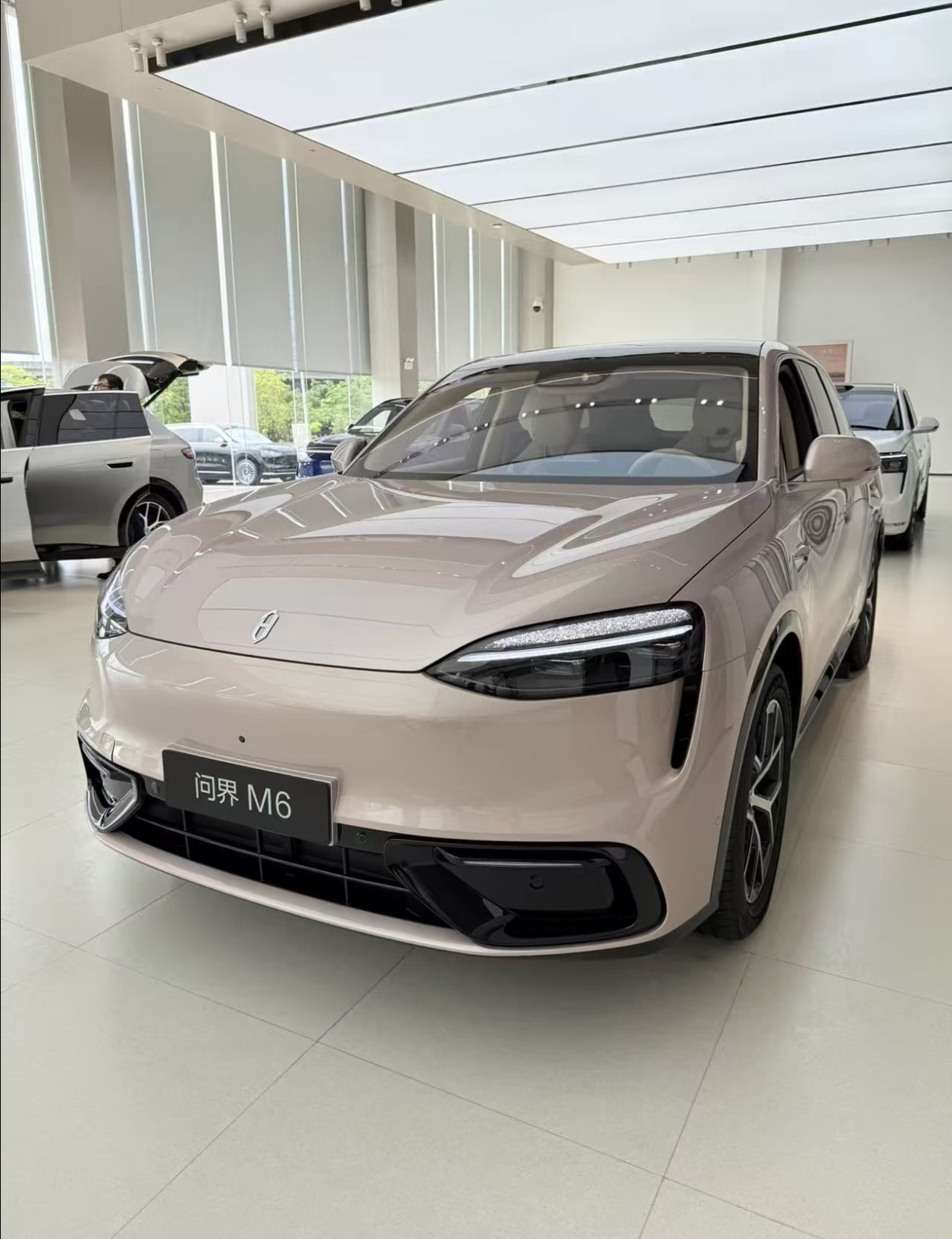 家里已经有一台电车，打算换一台空间更大的家用SUV，专门过来试驾问界M6。坐进去第一感受就是空间够大