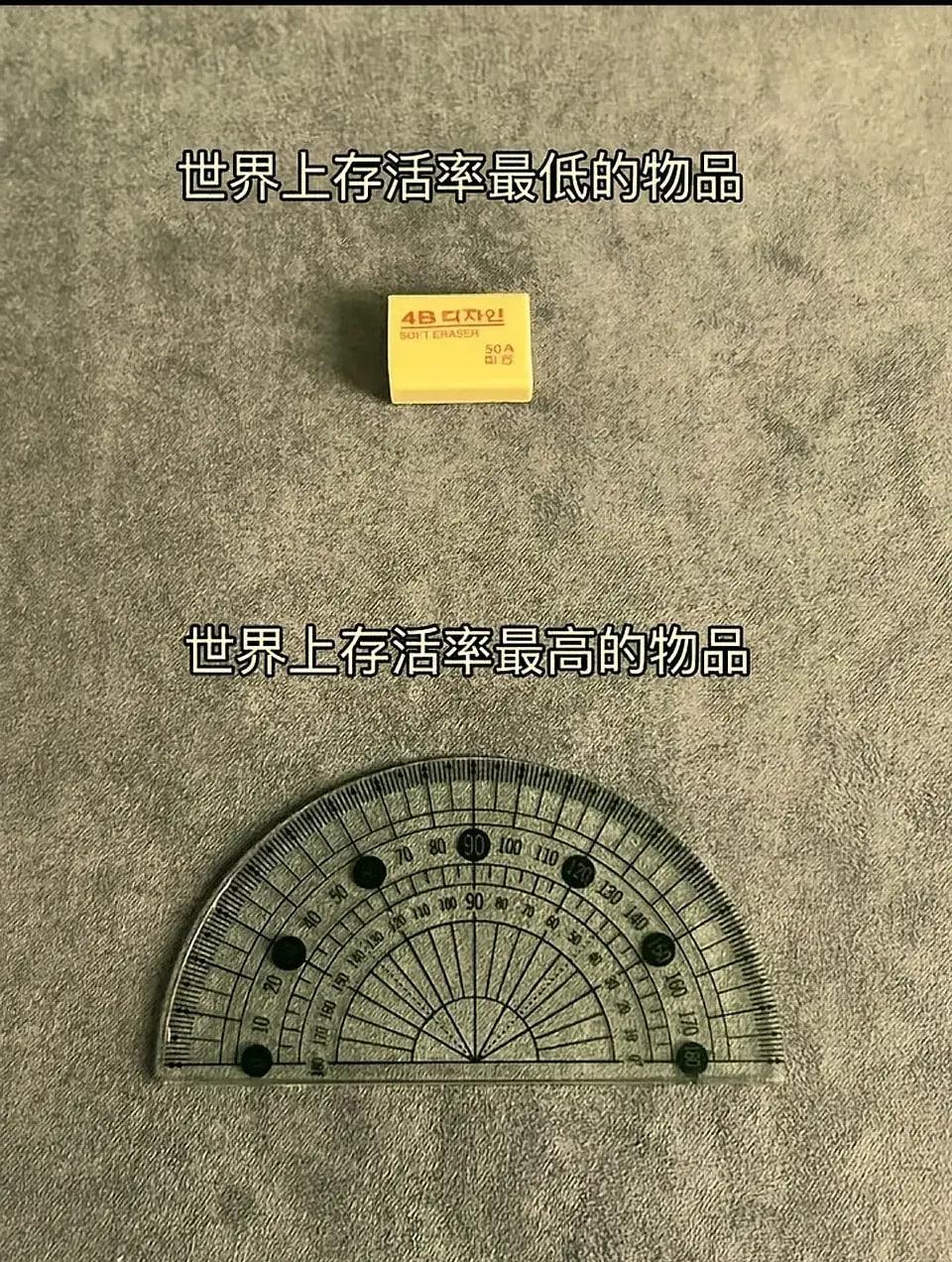 世界上存活率最低的物品