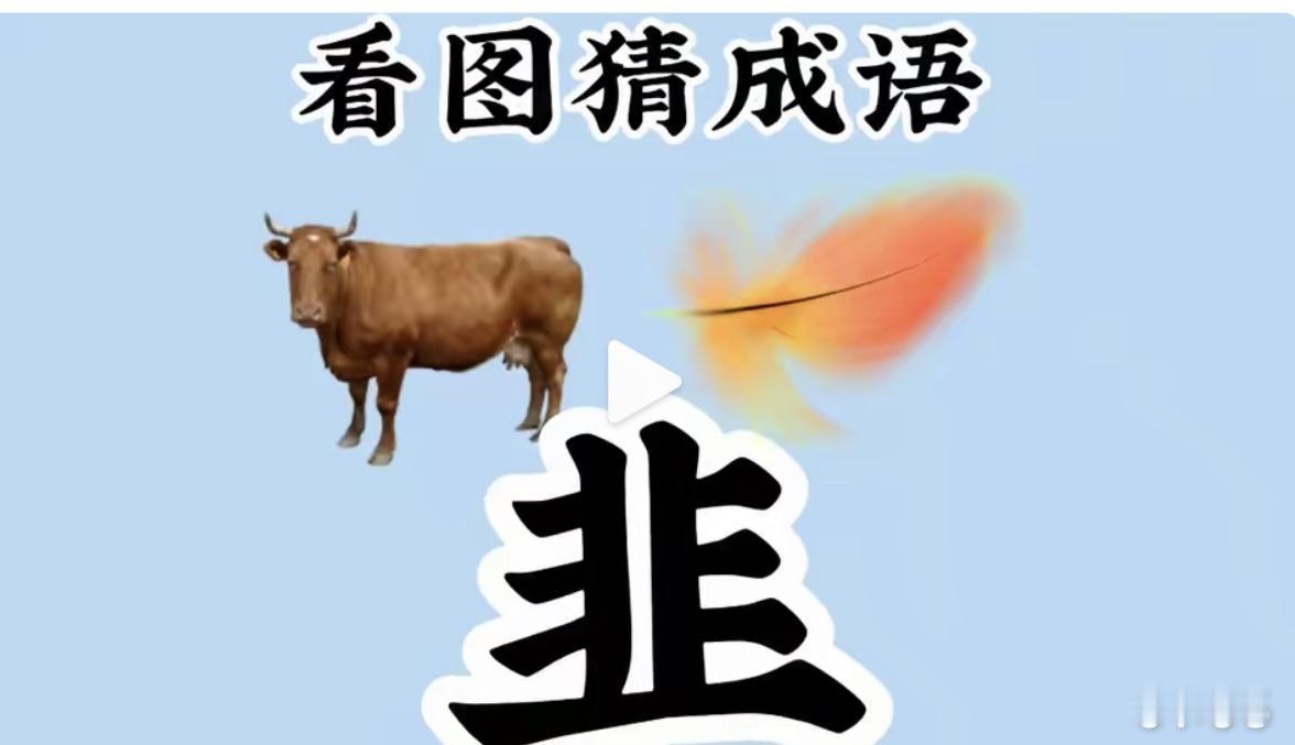 趣味看图猜成语再度来袭✨图中有牛、羽毛，还有一个汉字。提示：从谐音方面思考！