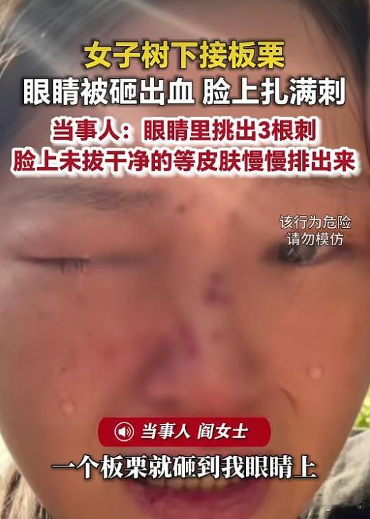 “太吓人了！”湖南长沙，一女子和家人上山打板栗，女子直接站在树下捡，当时，丈夫发
