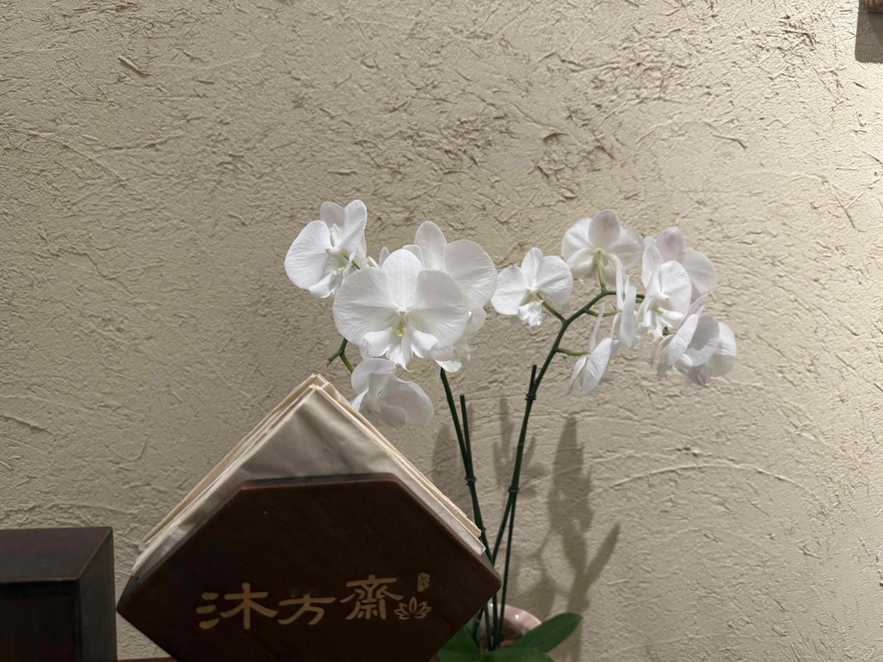 每个人都有属于自己的个性、生活方式和人生选择。你要学会允许孩子不事事听从你的安排